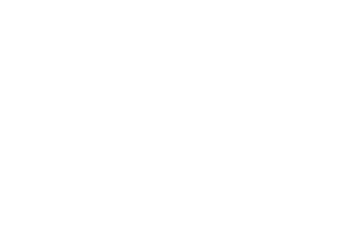 Eu4Dual Logo